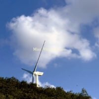 Murray Retro Lambskin Single Sofa Chair - Walnut Vintage